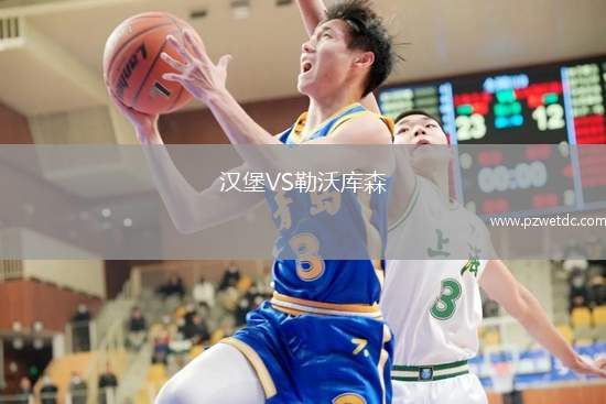 汉堡VS勒沃库森