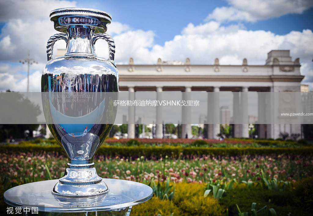 萨格勒布迪纳摩VSHNK戈里察