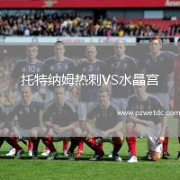 托特纳姆热刺VS水晶宫