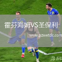 霍芬海姆VS圣保利