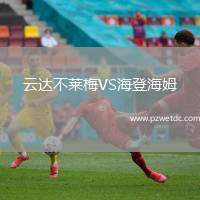 云达不莱梅VS海登海姆